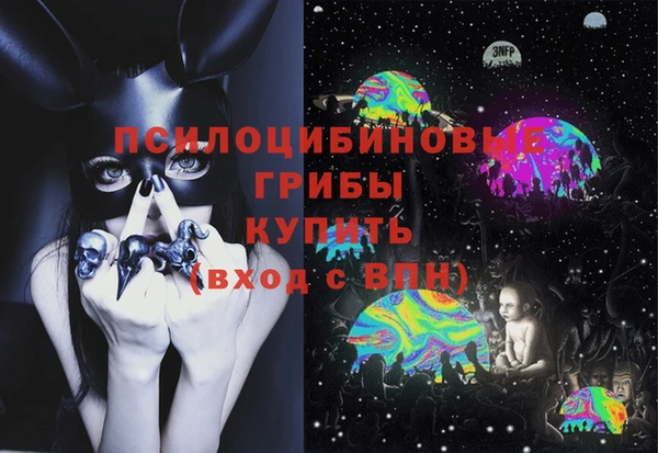гашик Армянск