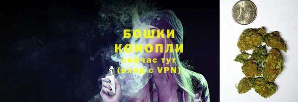 крисы Аркадак