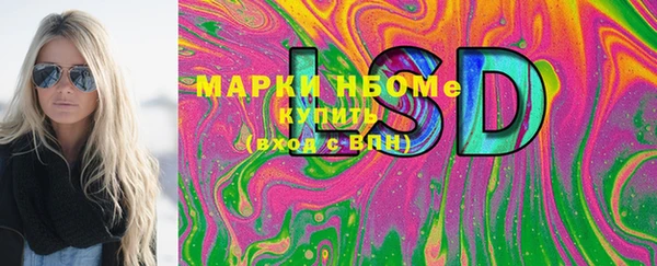 соль ск Кулебаки