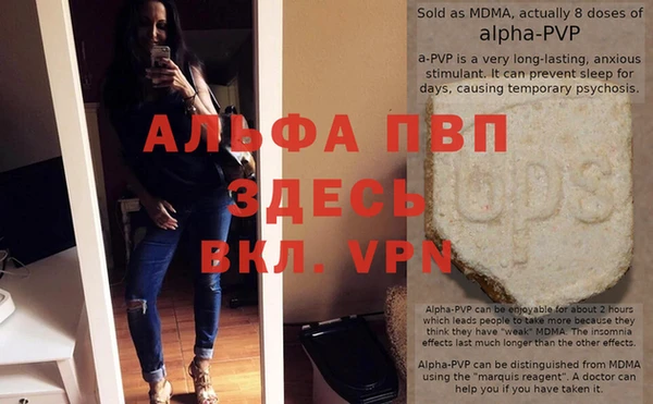 крисы Аркадак