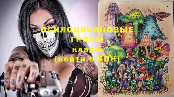 крисы Аркадак