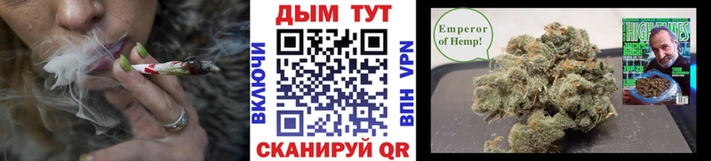 закладка  Покачи  Конопля ГИДРОПОН 